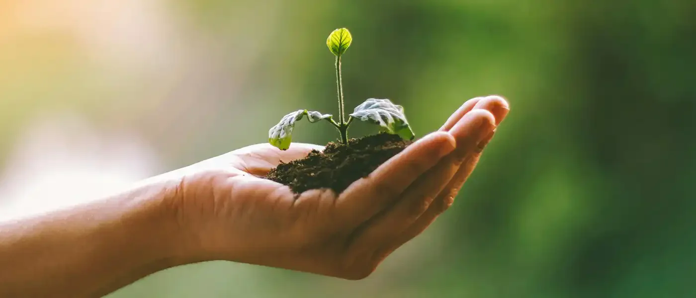 L'attenzione per l'ambiente di TER